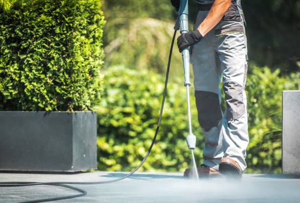 Best Fence Cleaning  in Pilot Mountain, NC