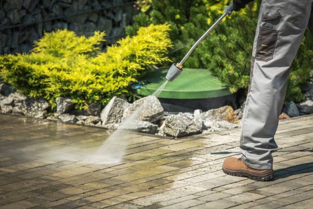 Best Winterizing Services  in Pilot Mountain, NC