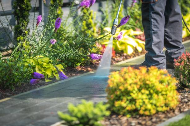 Pilot Mountain, NC  Pressure Washing Services Company